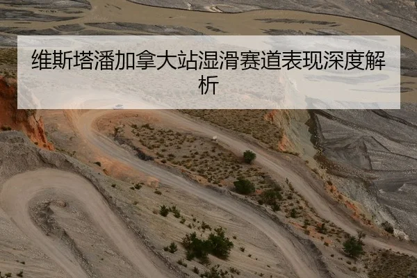 维斯塔潘加拿大站湿滑赛道表现深度解析